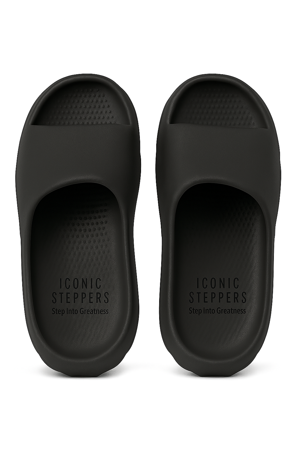 ICONIC STEPPERS - Slides