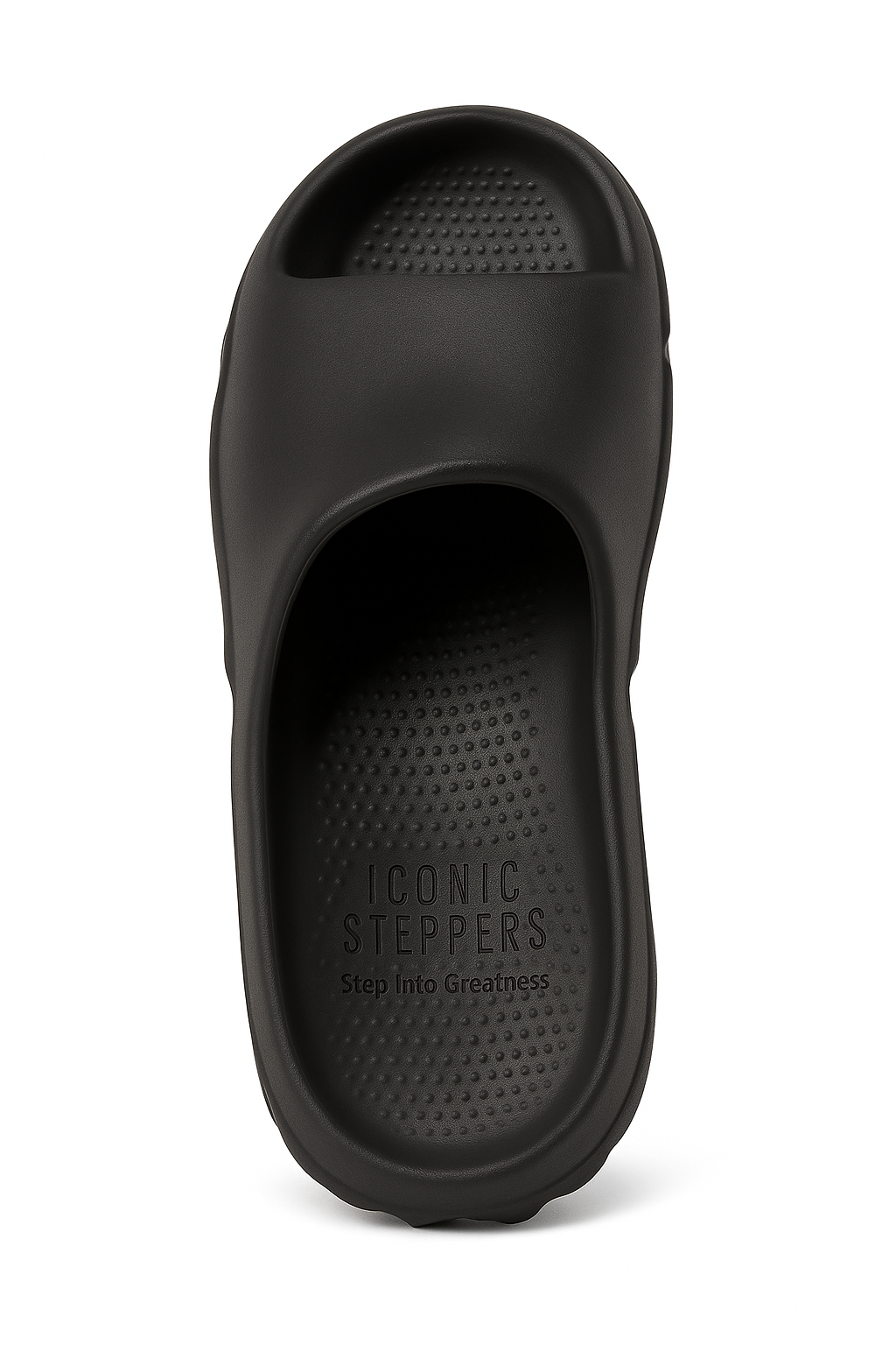 ICONIC STEPPERS - Slides